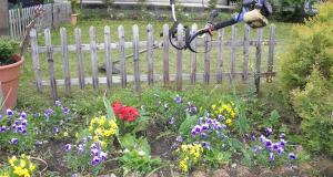ガーデンの草刈り！！｜「龍美堂」　（新潟県上越市の花キューピット加盟店 花屋）のブログ