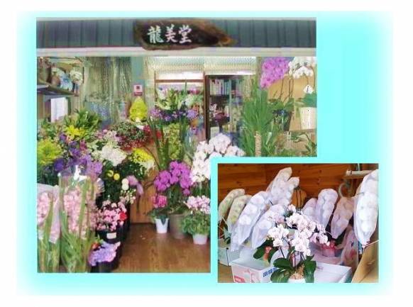 「龍美堂」　（新潟県上越市）の花屋店舗写真1